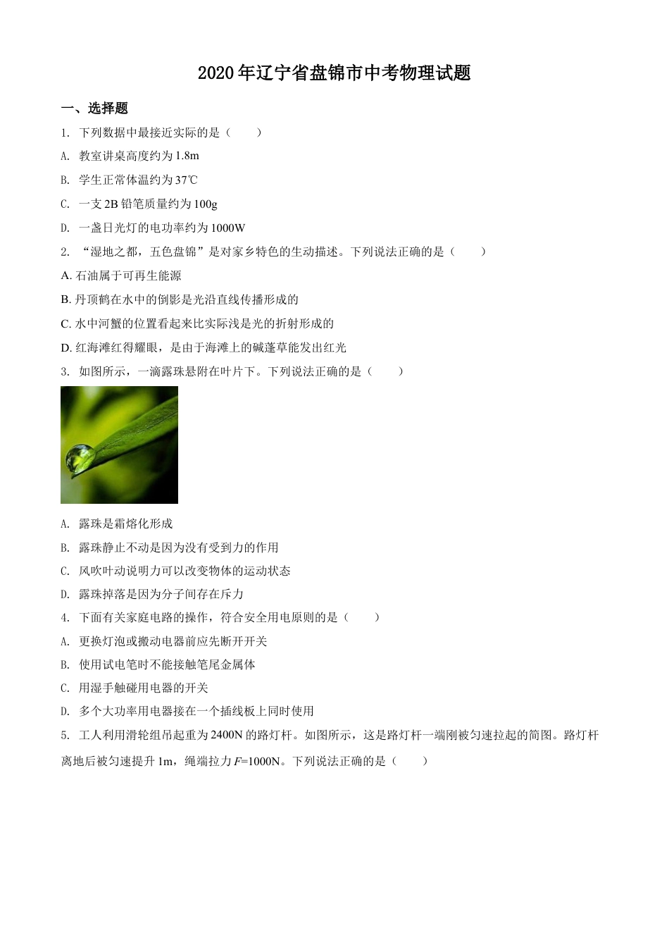 2020年辽宁省盘锦市中考物理试题（空白卷）kaoda.com.doc_第1页
