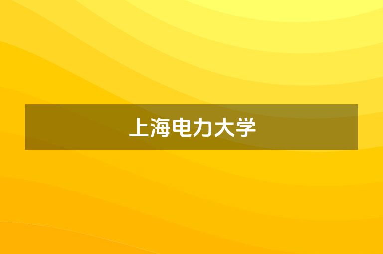 上海电力大学