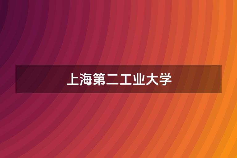 上海第二工业大学