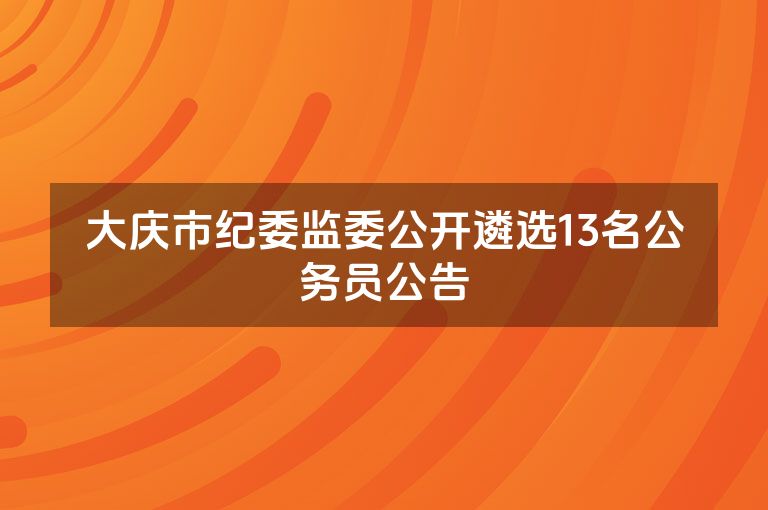 大庆市纪委监委公开遴选13名公务员公告