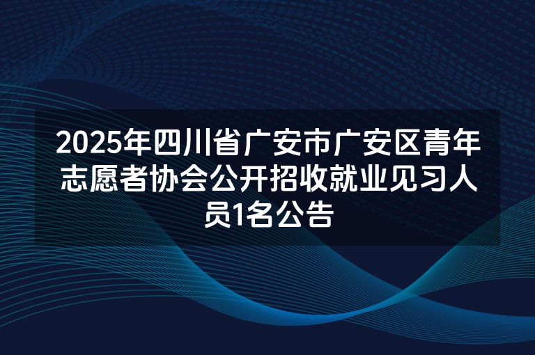 2025年四川省广安市广安区青年志愿者协会公开招收就业见习人员1名公告